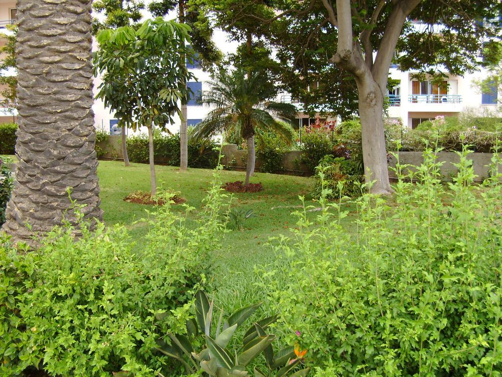 Casa Branca Apartments By Wanderlust Madeira, Vacation Rentals Funchal  Room photo