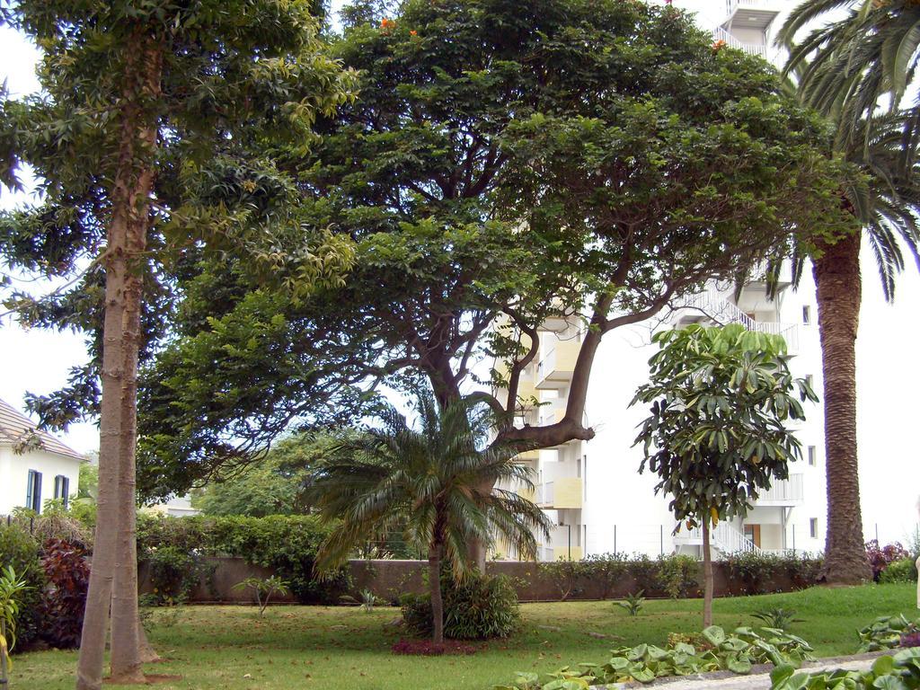 Casa Branca Apartments By Wanderlust Madeira, Vacation Rentals Funchal  Exterior photo