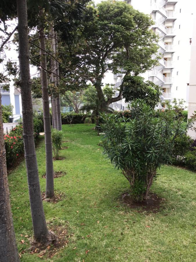 Casa Branca Apartments By Wanderlust Madeira, Vacation Rentals Funchal  Exterior photo